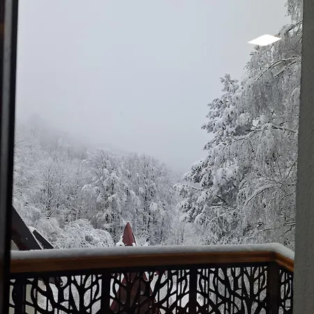 Breza - Umine Vode Zlatibor