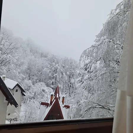 Apartmán Breza - Umine Vode *