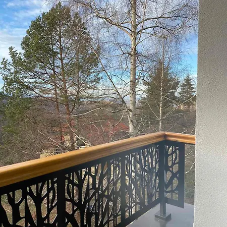 Apartmán Breza - Umine Vode *